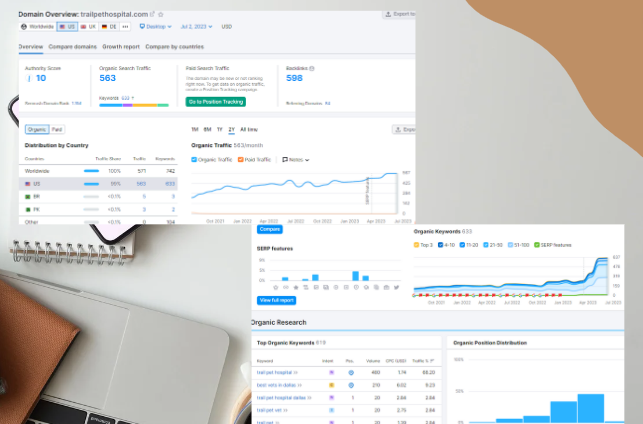 Trail Pet Hospital After On-Page Optimization