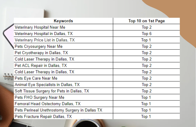 Trail Pet Hospital Ranking KWs After On-Page Optimization